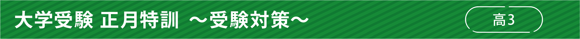 大学受験正月特訓　～受験対策～　高3